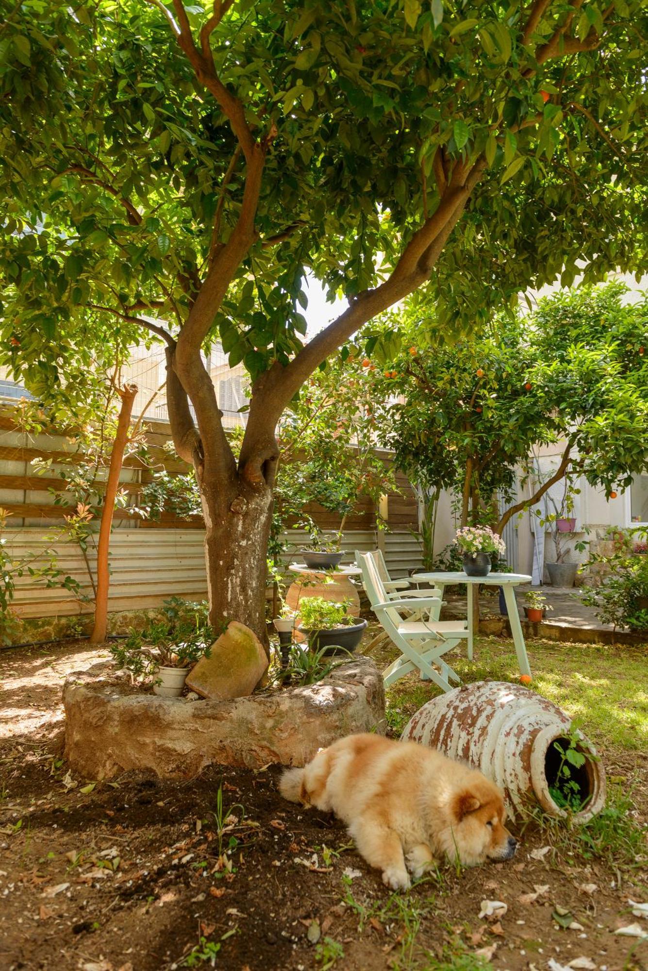 Agali 1 Superior Maisonette كالاماتا المظهر الخارجي الصورة
