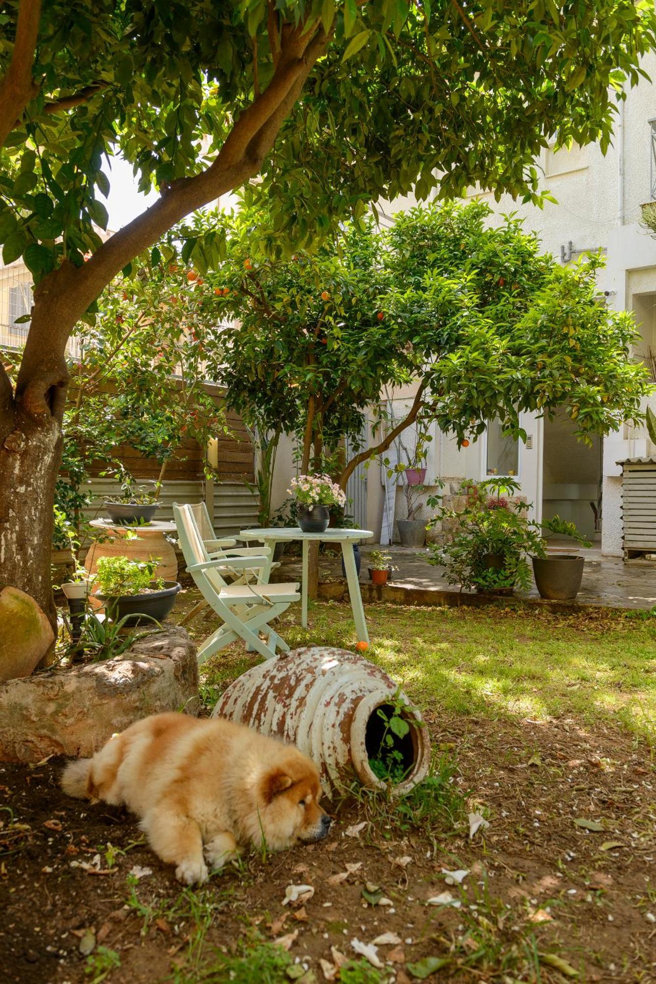 Agali 1 Superior Maisonette كالاماتا المظهر الخارجي الصورة